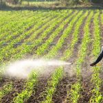 ⁦لي رش المبيدات الزراعية 50 متر⁩ - الصورة ⁦5⁩