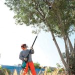 ⁦منشار تقليم الأشجار لاسلكي، 300 مم، 36 فولت، 160 مل ، 6.4 كجم⁩ - الصورة ⁦8⁩