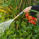 ⁦بكرة ماء وحدائق 1/2" 15 متر⁩ - الصورة ⁦2⁩