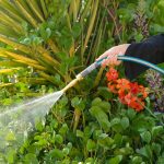 ⁦لي ماء وحدائق هوزي 16 ملم⁩ - الصورة ⁦5⁩