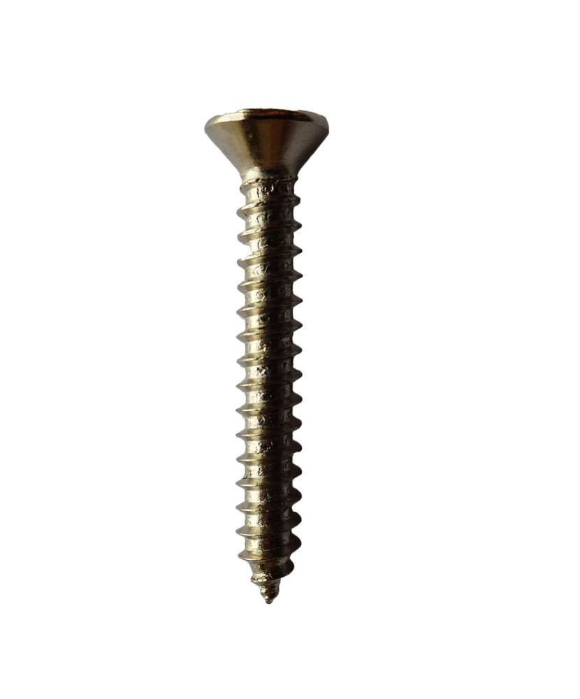 Sheet metal screw, nickel plated | TAS