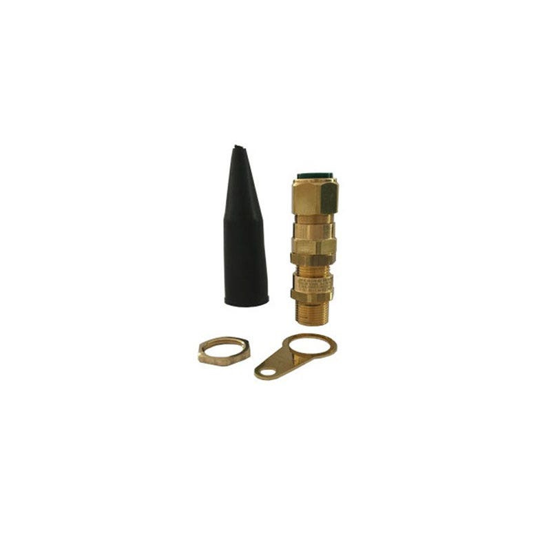RAYCHEM RPG - Gland Brass Exp/Prf 32mm W/ L.Nut, E.Tag, Lsf Tag