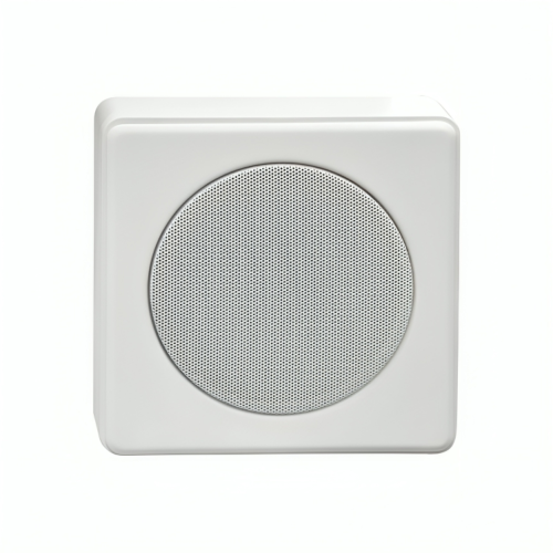 Benton Square Metal Wall Mounted Speaker - 6W - SENTRY6ST/EN