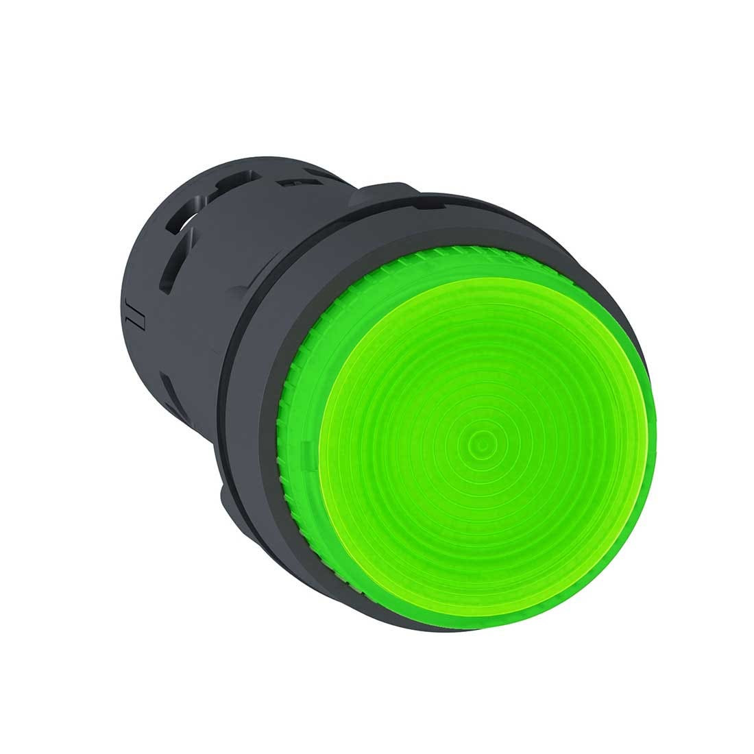 SCHNEIDER - Illum. P.B, Bulb, Latch -1No, Green, 230V