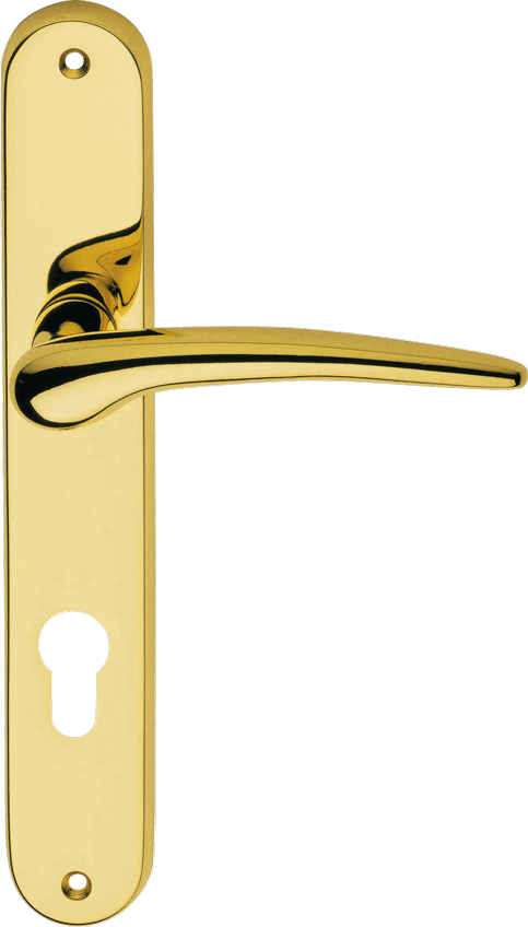 Kale Door Handle Gold No. 925
