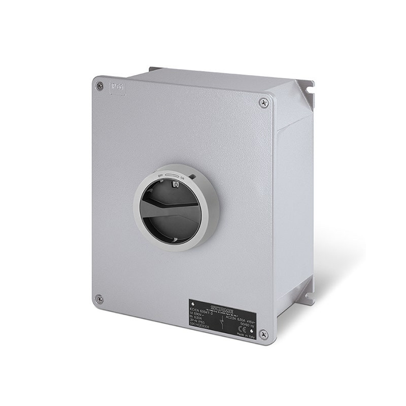 SCAME - Enclosed Switch Disconnector (AC22A/ AC23A), 63A, 6P, IP65, 315x410x150mm, Y2 IK10, General Grey/Black, High Wiring Capacity