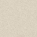 FT 250-12190, 60x60x1.0 cm Rectified (L) - Image 3