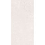 GPP 251-7964,60x120x1.0 cm Tile Glossy