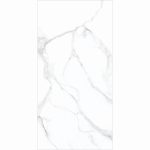 GPP 251-14442, 60x120x1.0 Tile Glossy