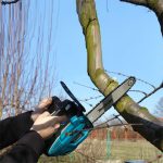 Petrol Chain Saw - Image 2