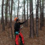 Telescopic Petrol Pole Saw Machine 255mm (10 inch) , 600mL, 7.2kg - Image 4