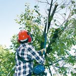 Telescopic Petrol Pole Saw Machine 255mm (10 inch) , 600mL, 7.2kg