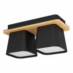 The EGLO RUSCIO modern ceiling light- Double