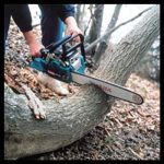 Petrol Chain Saw, Clearance offer without warranty