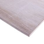 Ordinary Plywood Chinese (Thickness (mm): 9 - Film Faced Type: Standard)