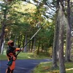 Cordless Telescopic Pole Saw Machine, 300mm, 160 ml, 6.4kg