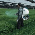 Petrol Backpack Sprayer, Maximum Pressure 2.5Mpa, 4-stroke, Chemical tank 20L, 9.1kg - Image 2