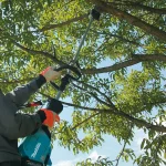 ⁦ماكينة تشذيب العشب لاسلكية متعدد الوظائف برأس طويل، موتور بدون فحمات، 40 فولت، 3.5 كجم⁩ - الصورة ⁦4⁩